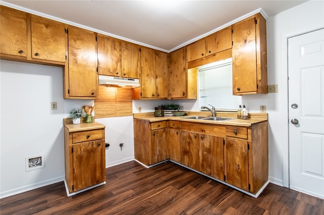 kitchen featuring sink and dark hardwood / wood-style floors