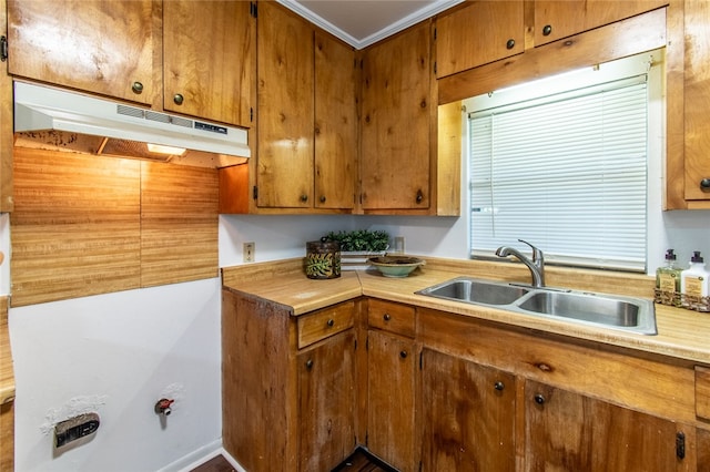 kitchen featuring sink and crown molding