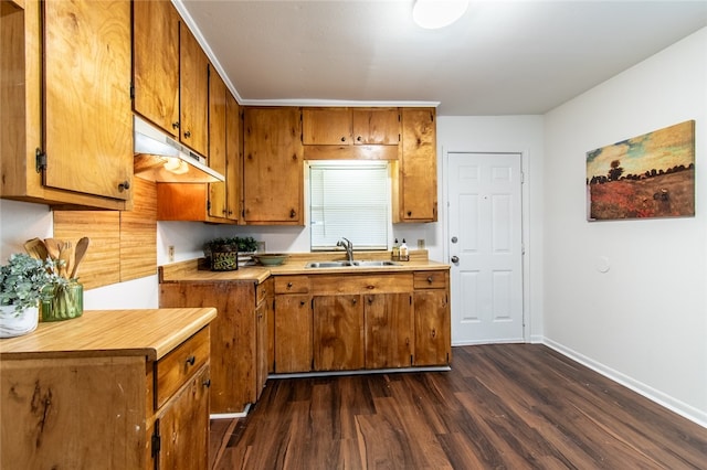 kitchen with dark wood-type flooring and sink