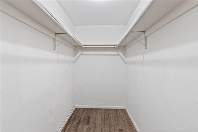 walk in closet featuring hardwood / wood-style floors