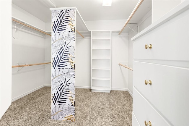 walk in closet with carpet