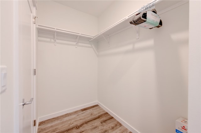 spacious closet featuring wood-type flooring