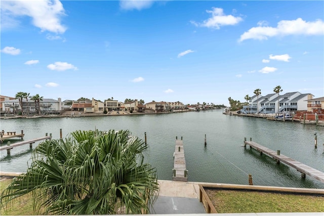 dock area with a water view