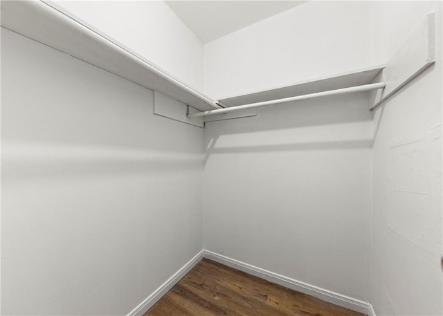 walk in closet featuring dark wood-type flooring