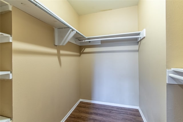 spacious closet with dark hardwood / wood-style flooring