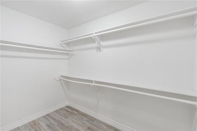 walk in closet featuring light wood-style flooring