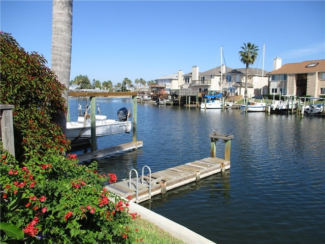 dock area with a water view