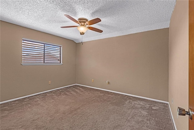 6430 Brockhampton, Corpus Christi, TX 78414 - photo 22