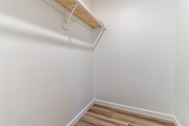 spacious closet with hardwood / wood-style floors