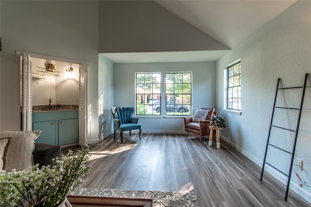 living area with hardwood / wood-style flooring, sink, and high vaulted ceiling