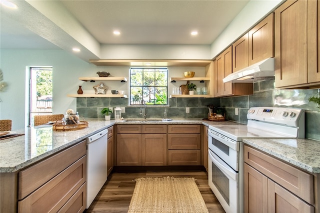 kitchen with dark hardwood / wood-style flooring, light stone counters, a healthy amount of sunlight, and white appliances