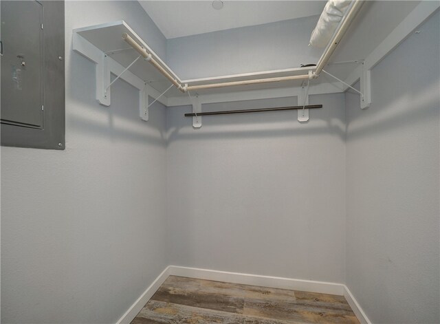 walk in closet featuring electric panel and hardwood / wood-style floors