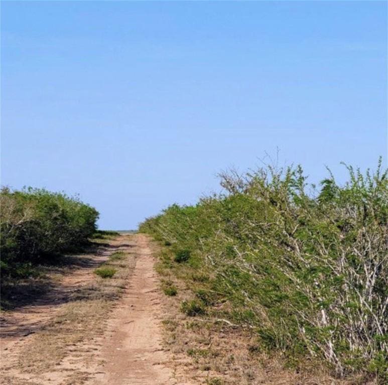132 Mesquite Spur, George West, TX 78022 - photo 2