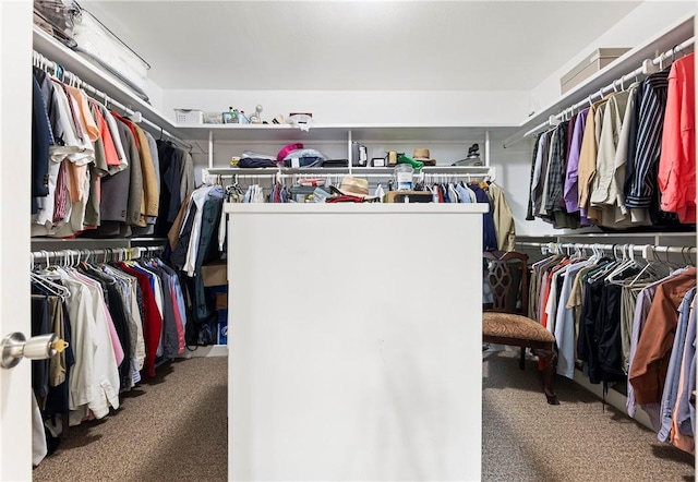 1725 Cliff Maus, Corpus Christi, TX 78416 - walk in closet featuring carpet floors