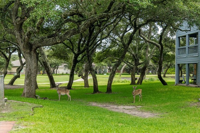 209 Forest Hls, Rockport, TX 78382 - photo 27