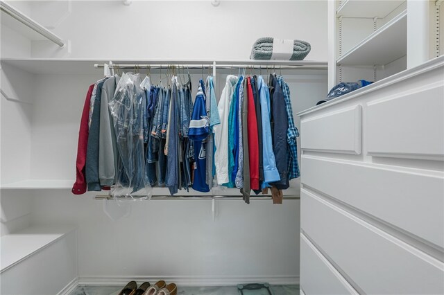 view of spacious closet