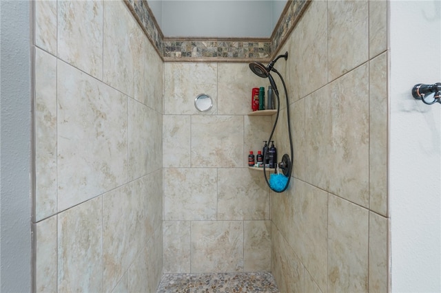 room details with tiled shower