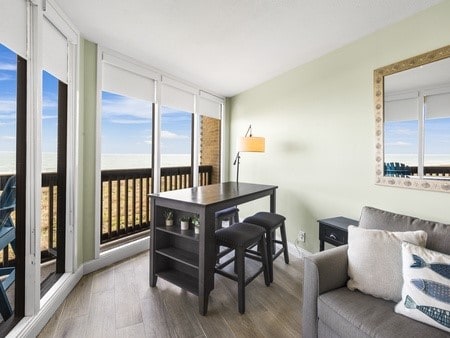 dining room featuring hardwood / wood-style floors and a healthy amount of sunlight