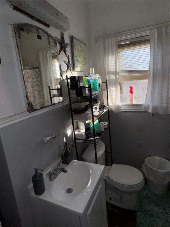 bathroom with toilet and vanity