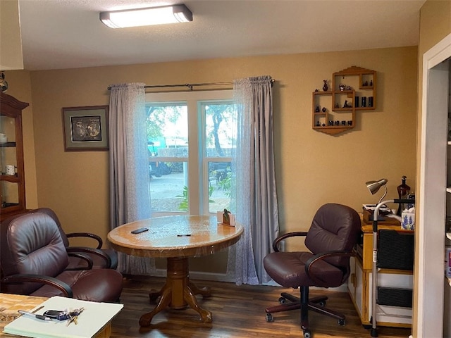 living area with dark hardwood / wood-style floors