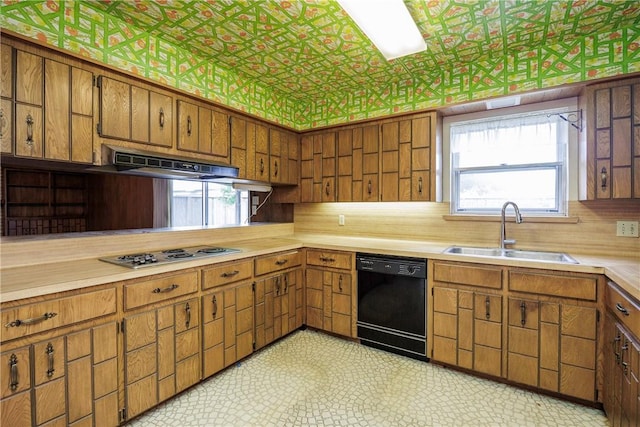 kitchen with dishwasher, ventilation hood, stainless steel gas cooktop, and sink