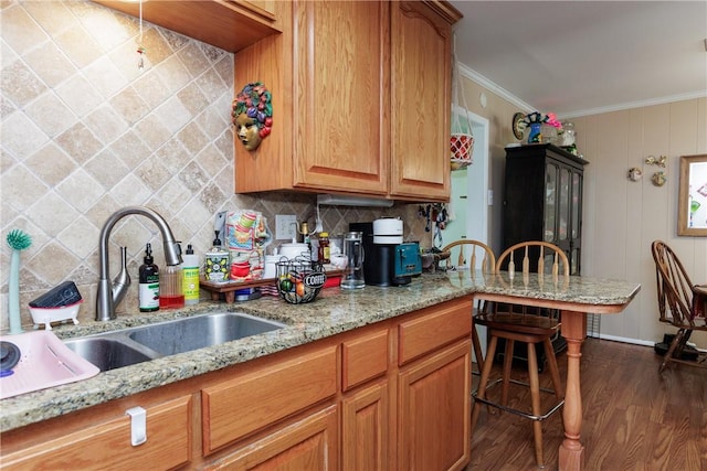 10639 Emmord Loop, Corpus Christi, TX 78410 - kitchen featuring ornamental molding, dark wood-style floors, decorative backsplash, a sink, and light stone countertops