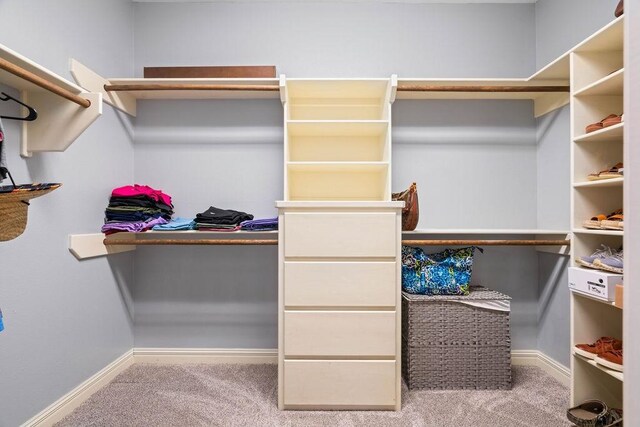 spacious closet with carpet