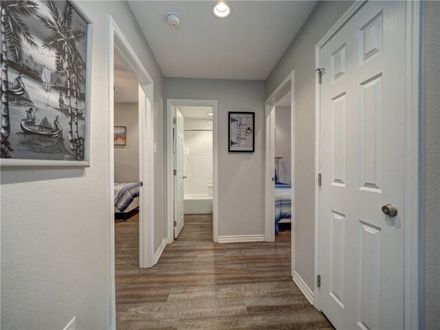 hallway featuring dark hardwood / wood-style floors