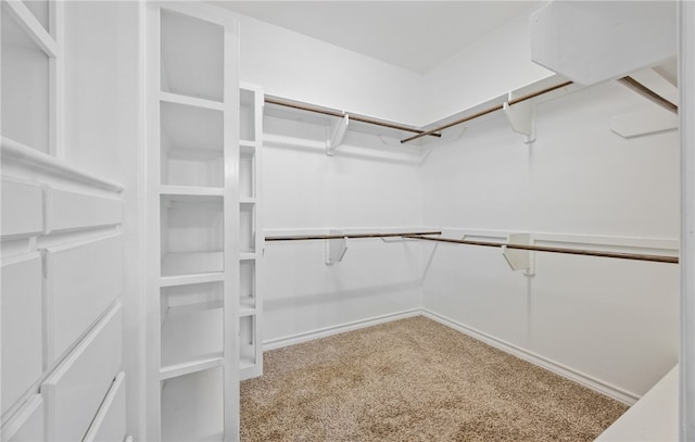 walk in closet with carpet floors