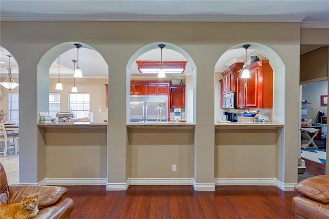 kitchen featuring dark wood-style floors, dark brown cabinets, and appliances with stainless steel finishes