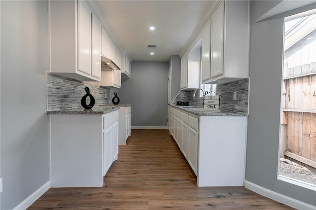 3809 Capri Dr, Corpus Christi, TX 78415 - kitchen with under cabinet range hood, tasteful backsplash, baseboards, a sink, and recessed lighting