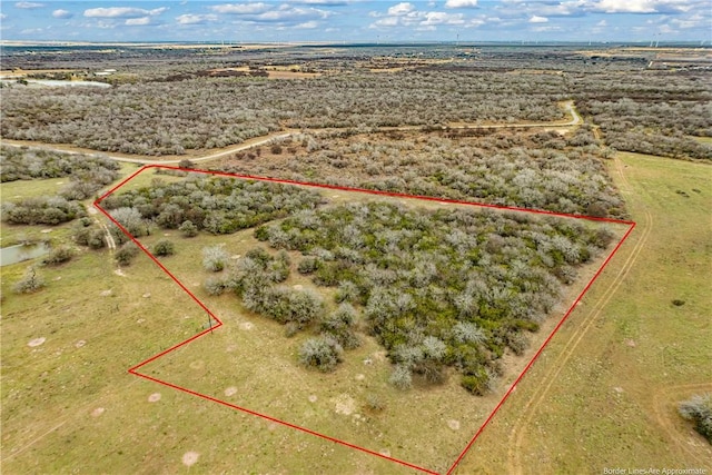 Listing photo 3 for 10ACRESOUTOF21449 County Road 1664, Mathis TX 78368