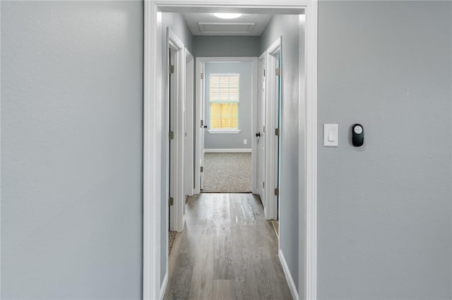 corridor with attic access, light wood-style floors, and baseboards