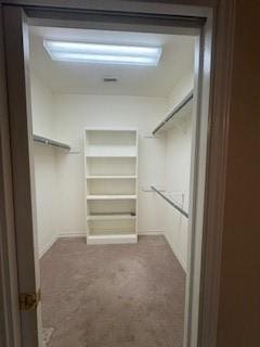 7502 Lourdes St, Corpus Christi, TX 78414 - walk in closet featuring carpet