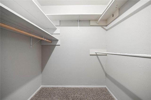 4026 Brownwood, Corpus Christi, TX 78410 - walk in closet with carpet flooring