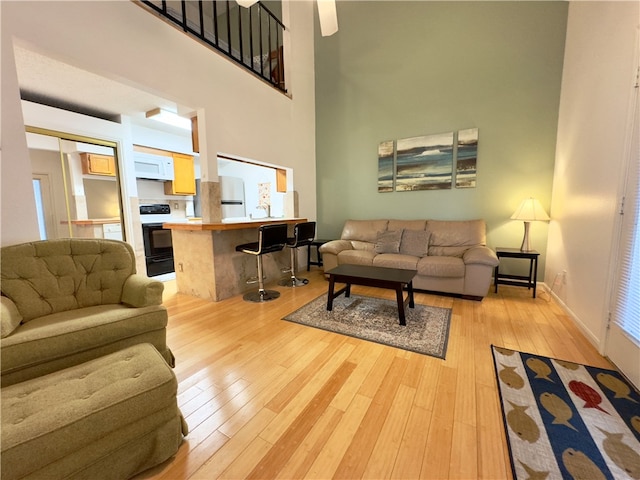 living room featuring a towering ceiling and light hardwood / wood-style floors