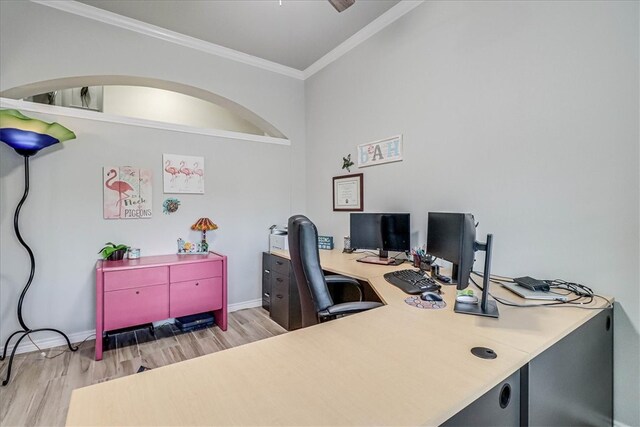 office space with light hardwood / wood-style floors and crown molding