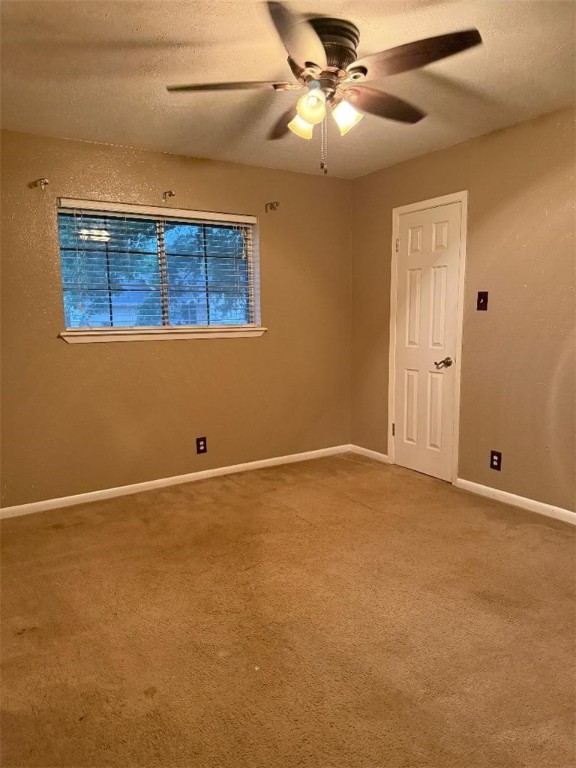 1309 Christy Ave, Kingsville, TX 78363 - photo 15