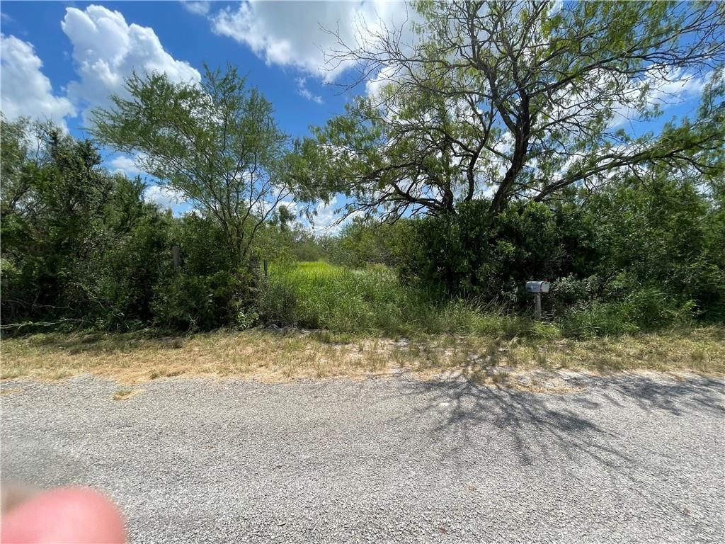 114 County Road 230, Orange Grove, TX 78372 - photo 4