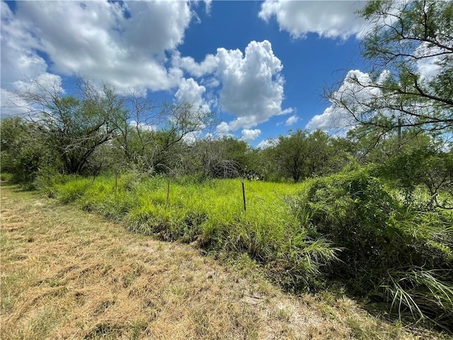 Listing photo 2 for 114 County Road 230, Orange Grove TX 78372