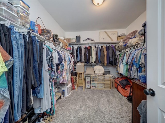 walk in closet featuring carpet floors