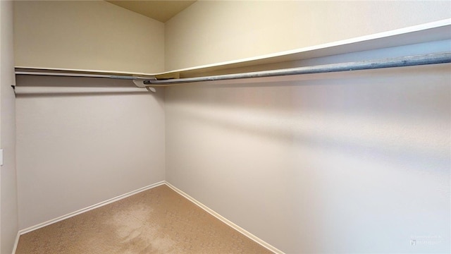 5925 Bishops Mill Dr, Corpus Christi, TX 78414 - photo 24