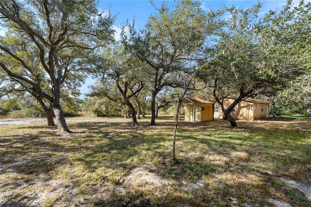 view of yard featuring a storage shed