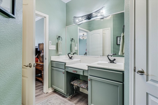 bathroom featuring hardwood / wood-style flooring and vanity