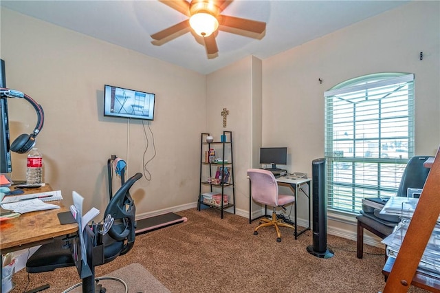 3918 Willow Heights Dr, Corpus Christi, TX 78410 - office space with carpet and a ceiling fan