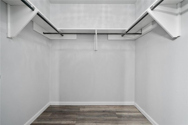 walk in closet with dark hardwood / wood-style flooring