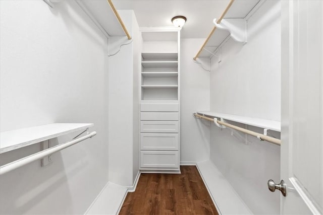 spacious closet featuring dark wood-type flooring