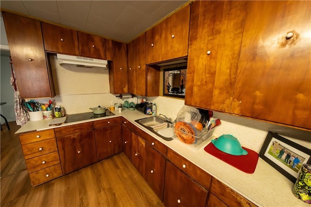 kitchen featuring black electric stovetop, under cabinet range hood, a sink, light countertops, and dark wood finished floors