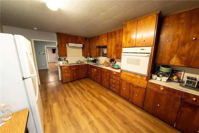 kitchen featuring white appliances, light countertops, light wood-type flooring, under cabinet range hood, and a sink