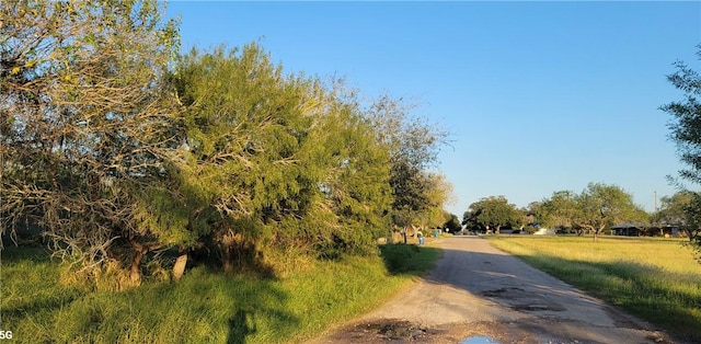 view of road